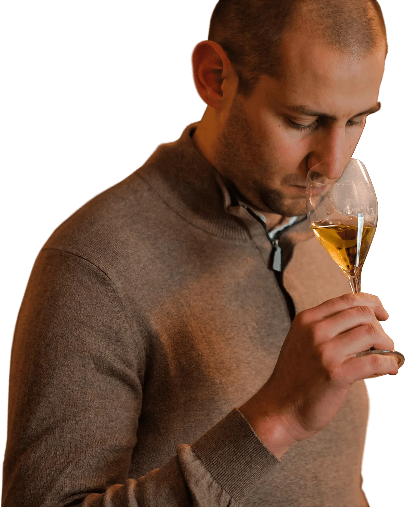 Damien Goulard - Champagne J.M. Goulard